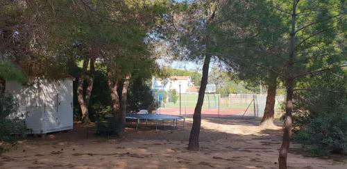 Villa Jungle House - Pineta Is Morus