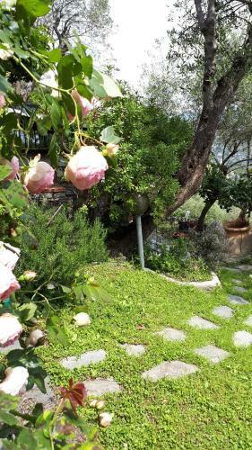 Terrace And Garden Santa Margherita - Ap2b
