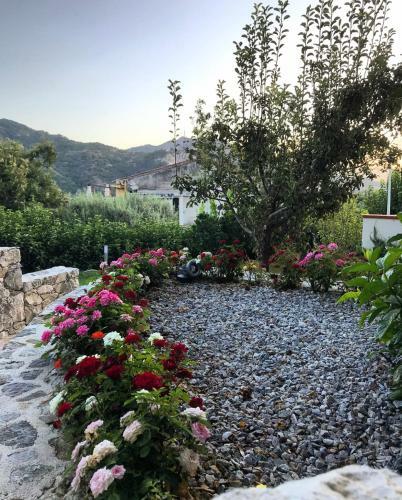 Bed & Breakfast La Pergola