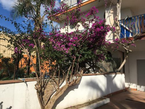 Apartamento Taormina Sea House