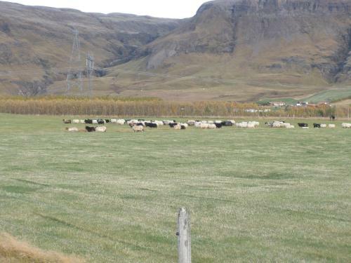 Vorsab�r 2 Holiday Home