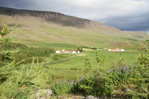 Hostal Guesthouse Hof In Vatnsdalur