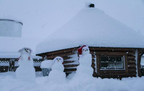 Hostal Guesthouse Hof In Vatnsdalur