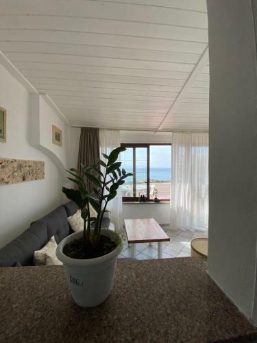 Trilocale Deluxe Fronte Spiaggia