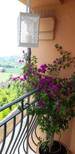 Bed & Breakfast Casa Cavaliera