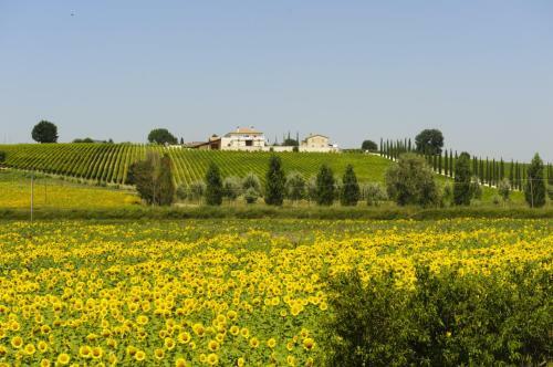 Villa La Quercia-fresia