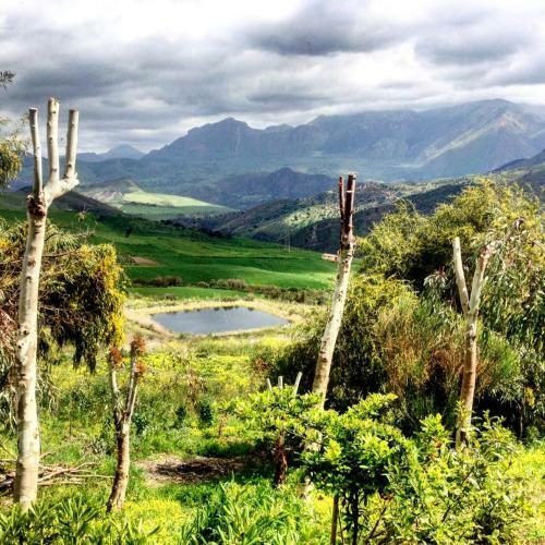 Agroturismo Le Case Di Cardellino