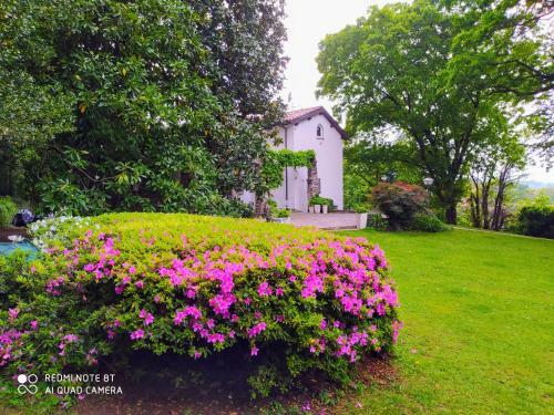 "la Selvetta" Bed And Breakfast