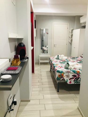 Hostal Scilla's Dream