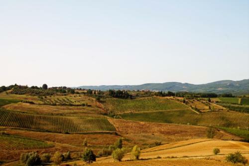 Apartamento La Torre In Chianti