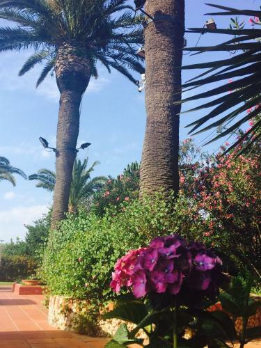 Bed & Breakfast Resort Villa Isola