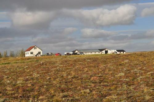 Glj�steinn Sk�linn Hostel