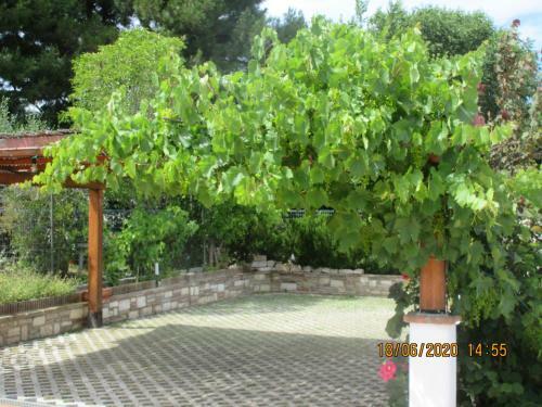 Apartamento B&B Capo Le Vigne