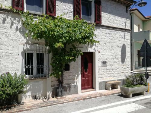 B&B Capo Le Vigne