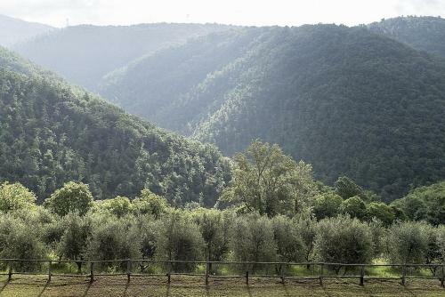 Strada In Chianti Villa Sleeps 3 Pool