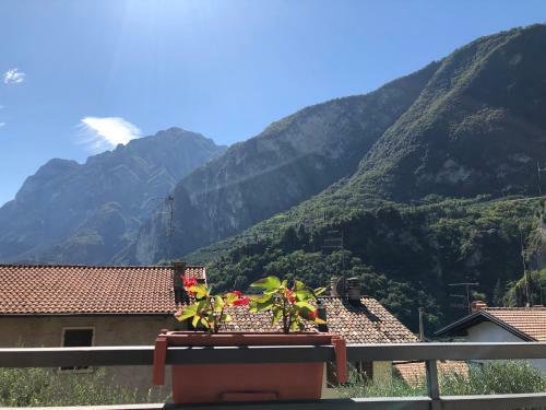 Hotel Albergo Stella D'italia