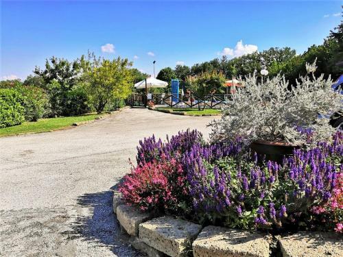 Spacious Villa In Tavullia With Swimming Pool