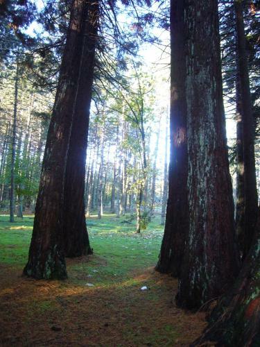 Vallicciola Nature Hotel