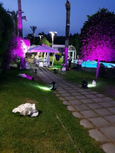 Bed & Breakfast Relais Dionisio