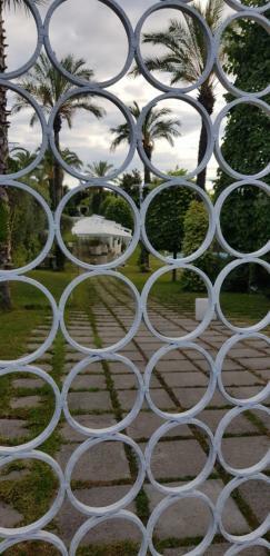 Bed & Breakfast Relais Dionisio