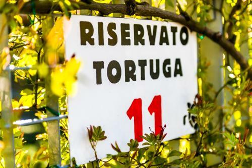 Apartamento Casa Tortuga