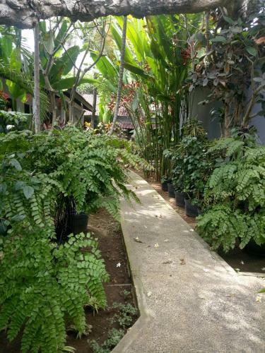 Hostal Touring Sanur