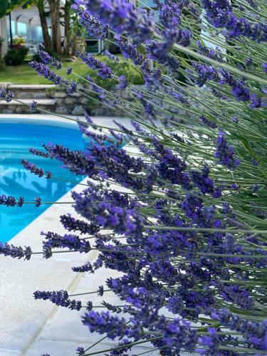 Apartamento Villa Dei Roccoli