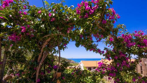 Apartamento Italianway - Porto Alabe La Nassa