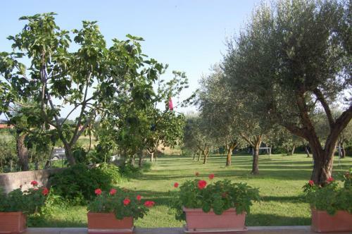 Apartamento Tommaso 5