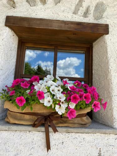 Apartamento Chalet Di Mont