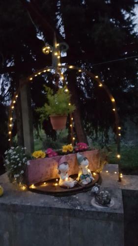 Hostal Guest House Il Nido