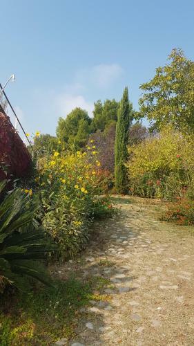 Apartamento Villa Diamante Vasto