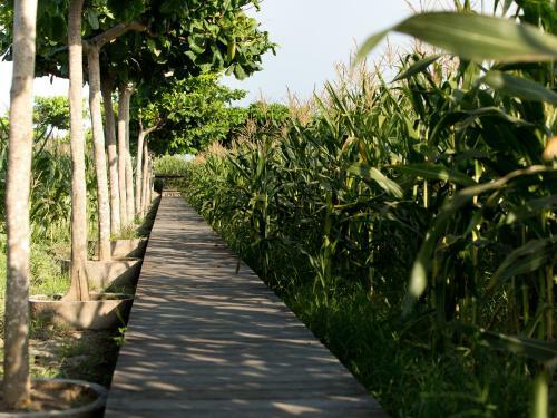 Villa Sanur Residence