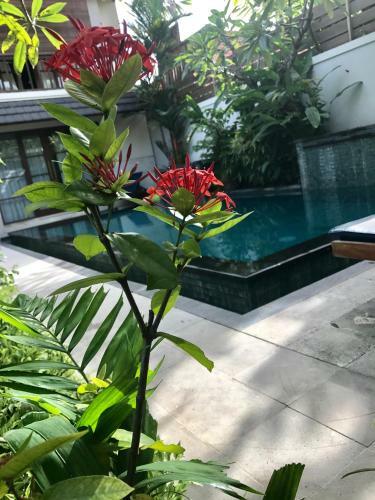 Hostal Bumi Ayu Villa