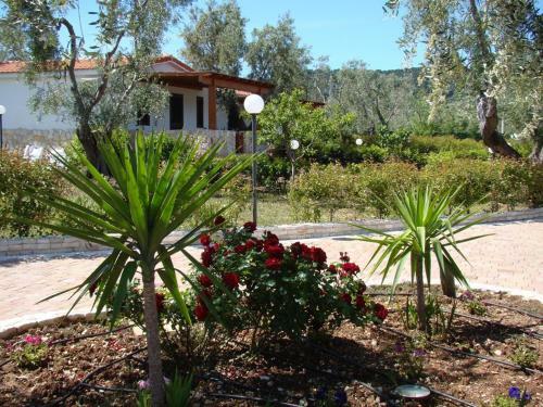 Apartamento Appartamento Bilocale