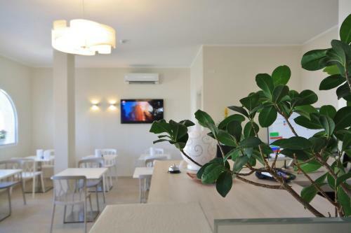 Hotel New Ca'mea