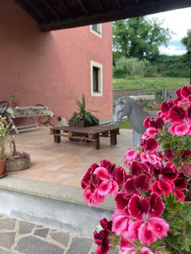 Agroturismo Antico Casale Edifizio