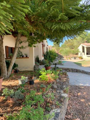 Agroturismo Terra Noas