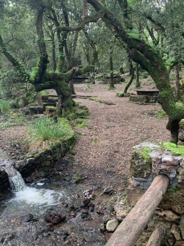 Agroturismo Terra Noas