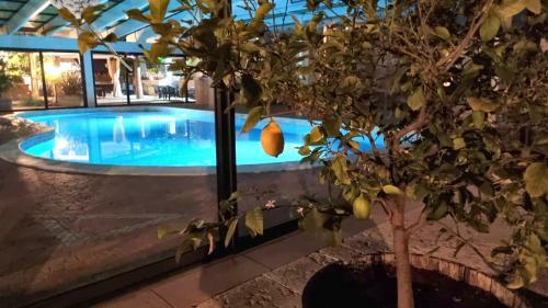 Apartamento Villa Castelnuovo Id91811