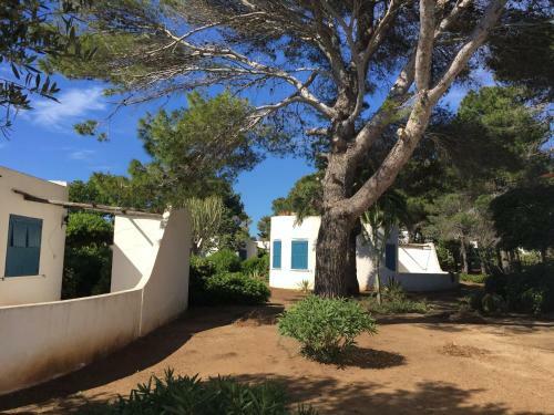Apartamento Residenza Gherly