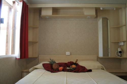 Salicamp