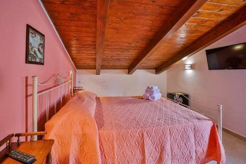 Hostal Il Pineto Affittacamere