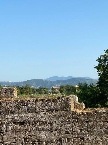 Bed & Breakfast Paestum Suite