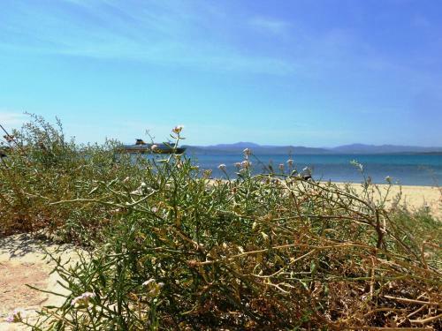 Apartamento Marineledda Village