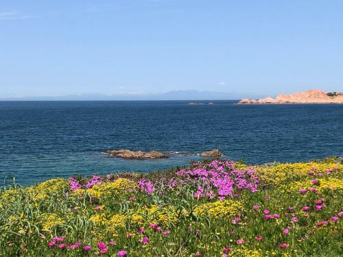 Apartamento Miramare Isola Rossa