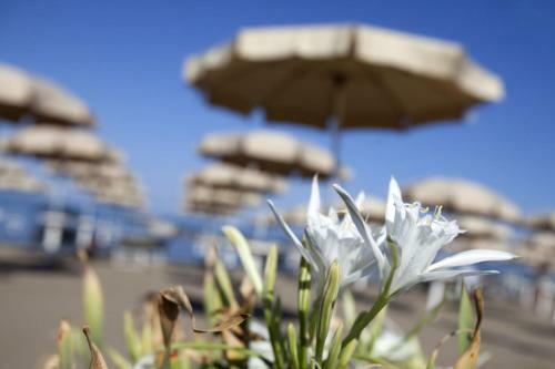 Villa Alessandri - Direttamente Sulla Spiaggia