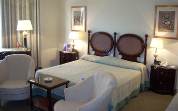 Palace Hotel