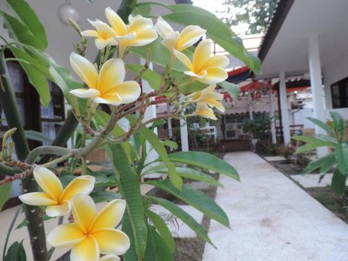 Casus Dream Hotel