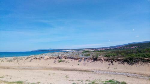 Green House - Woods And Beaches - Sardinia